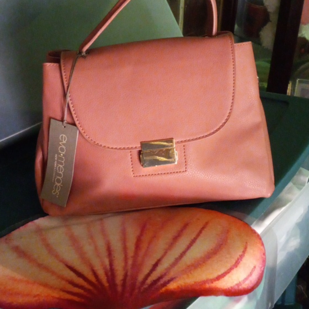Eva Mendes handbag